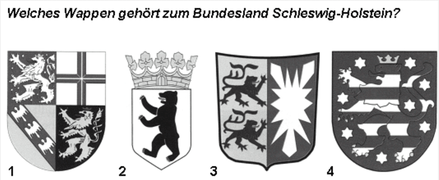 Image for Schleswig-Holstein question