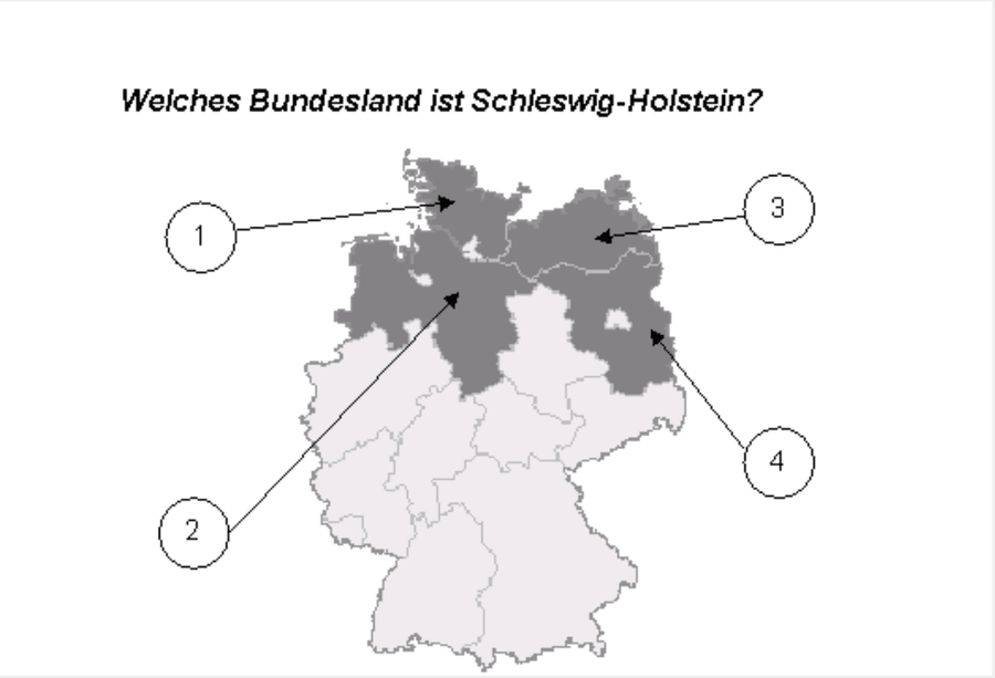 Image for Schleswig-Holstein question